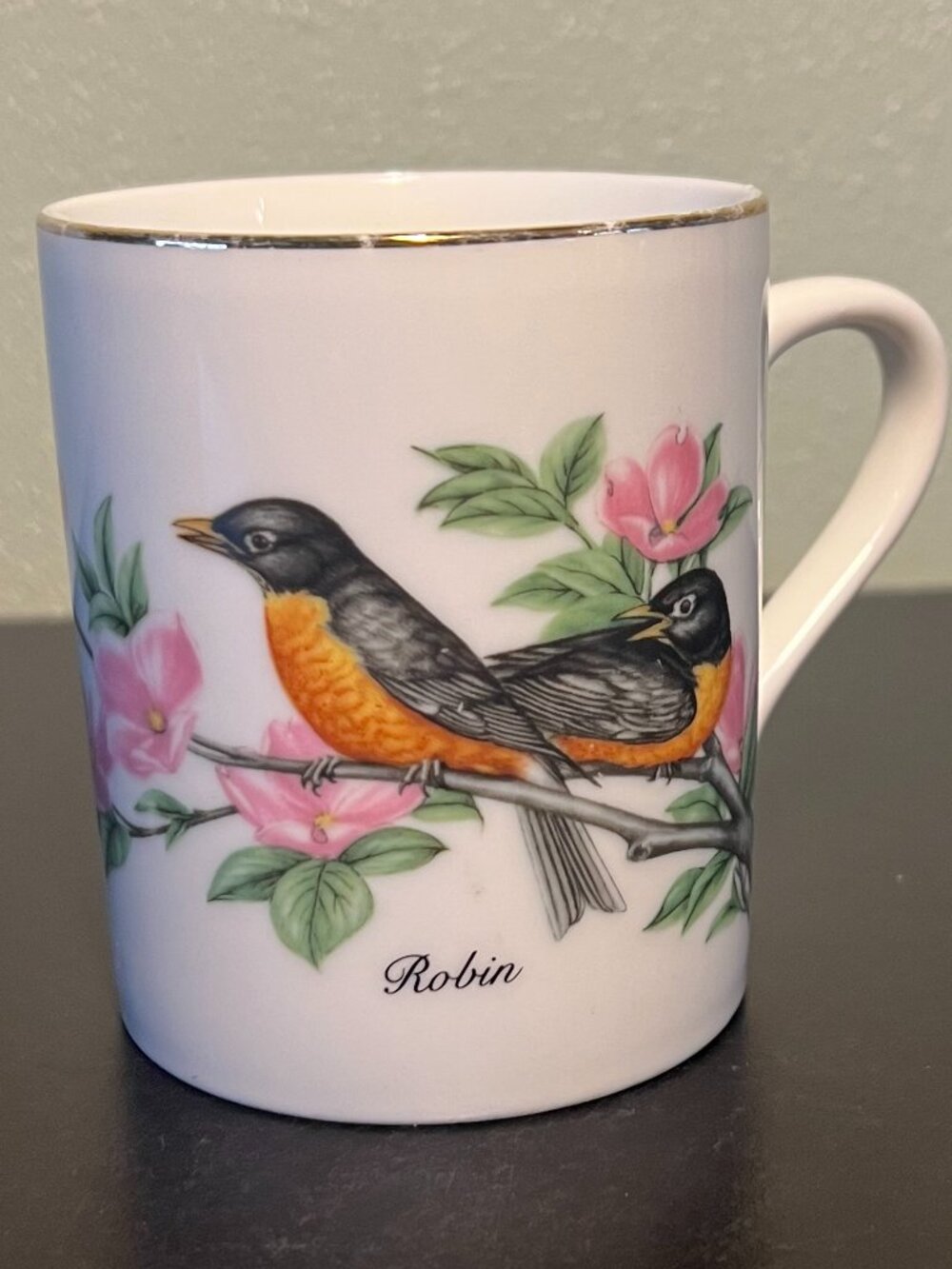 VINTAGE 1985 John James Audubon Porcelain ROBIN Coffee Mug Tea Cup Floral